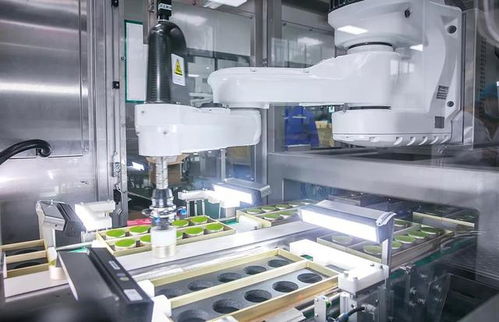 小罐茶創始人杜國楹引領茶業革新 15億投資智能工廠，AI挑茶工重塑傳統茶產業