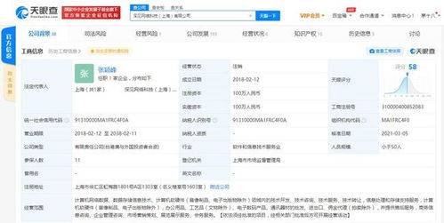 深見網絡科技注銷，金拱門中國為大股東引發行業關注